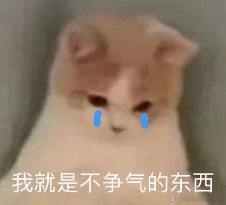 恋爱里最擅长默默付出的星座：TOP1摩羯：不爱甜言蜜语，会把规划、物质、陪伴落实