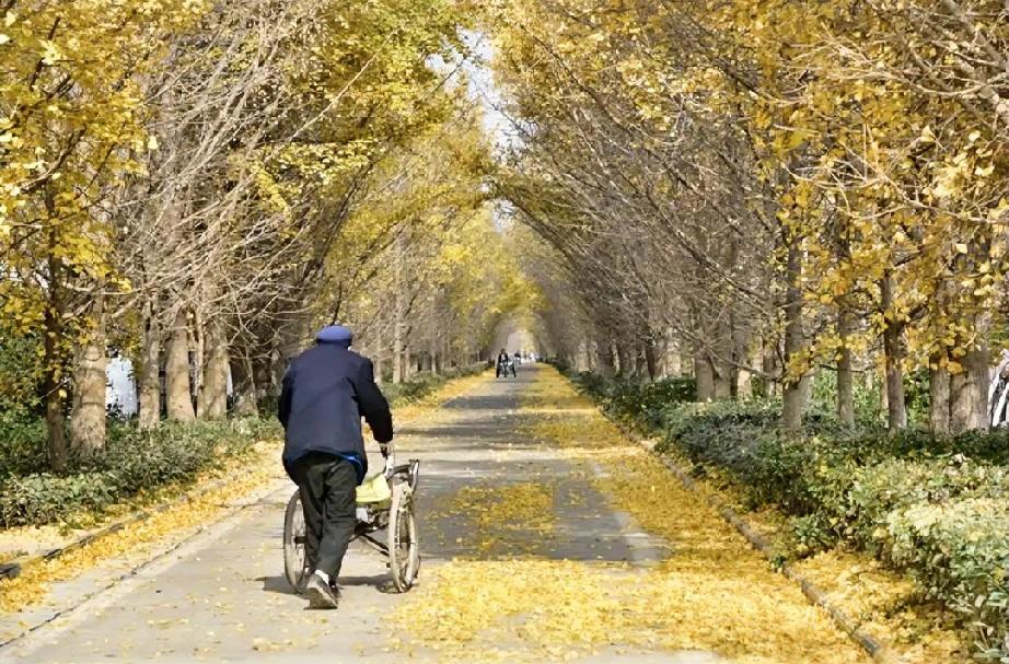 邻居照顾80岁的独居老人十多年。听说老人要把自己名下的房产过户给他的邻居。