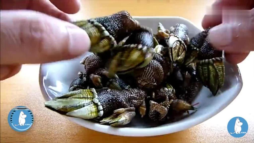 实拍日本海鲜市场, 新鲜的鹦嘴鱼现场清洗处理