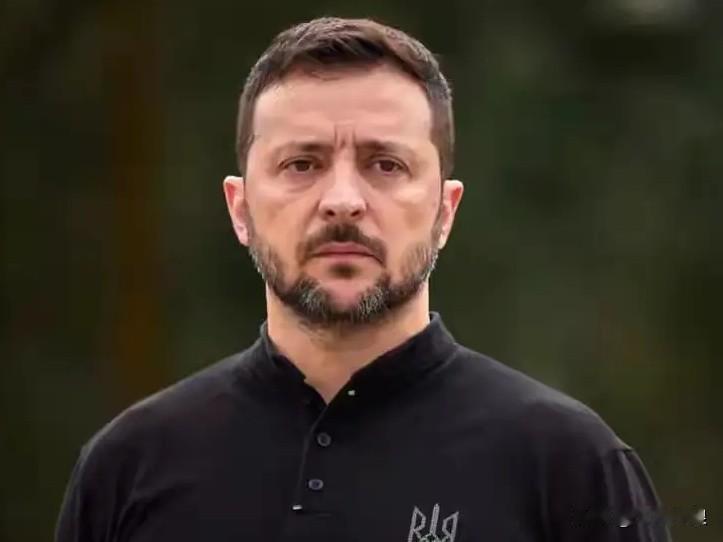 乌克兰总统泽连斯基又出来“报幕”了！1月20日乌克兰总统泽连斯基表示俄罗