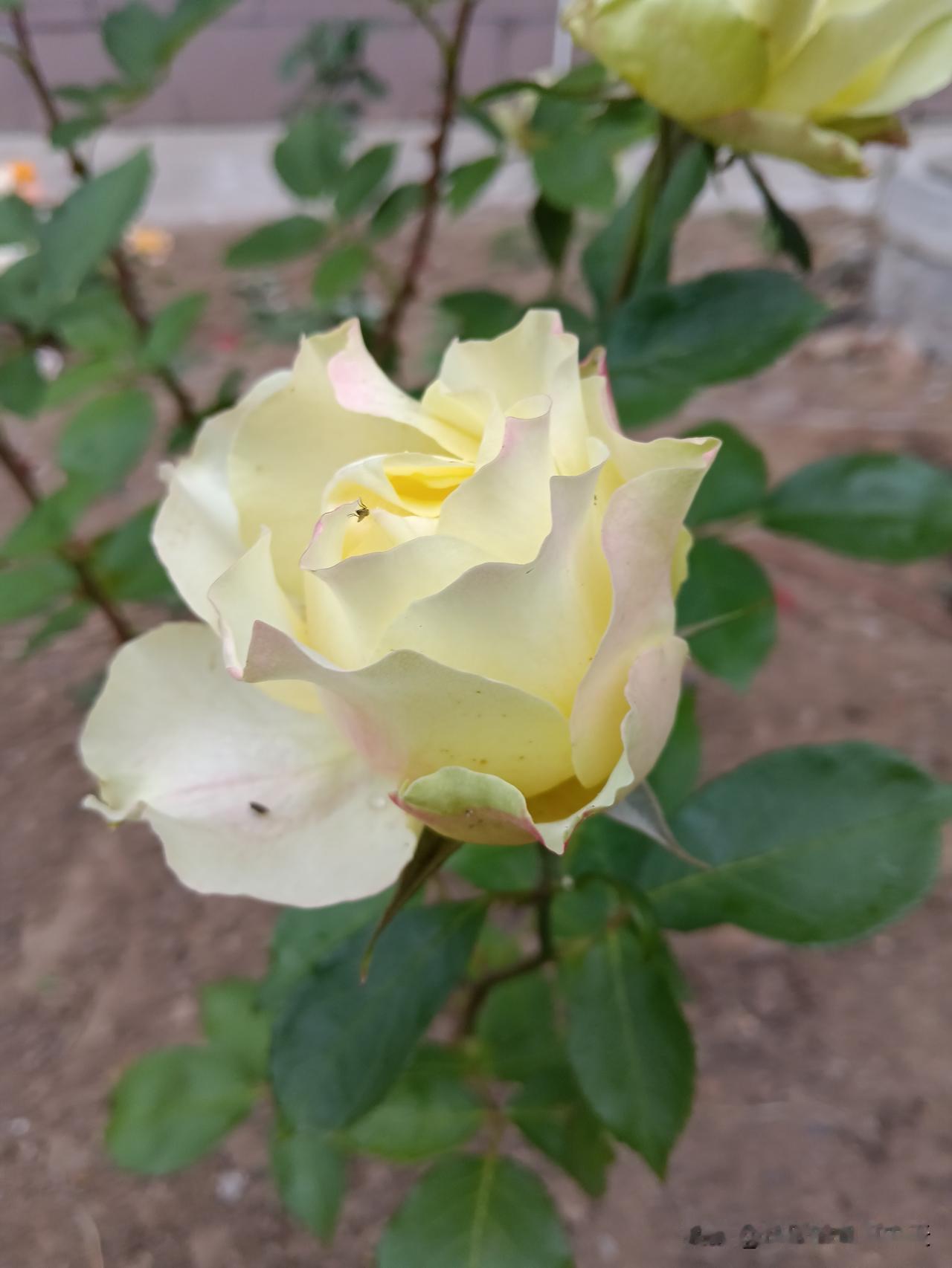 你的花钱习惯，藏着你的财运走向；1.花钱大手大脚的人：财运来得快、去得也快，