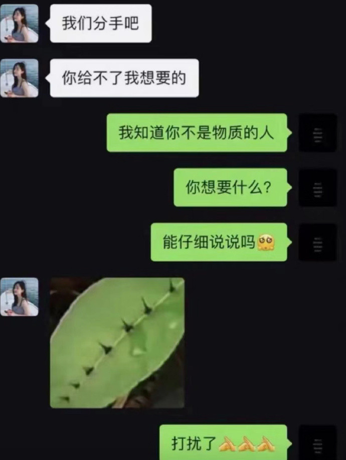 她们为什么分手了？知识盲区！！！