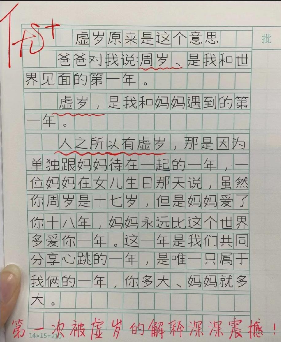 破防了！小学生作文解读虚岁的意义，看完瞬间被戳中泪点，你怎么看？