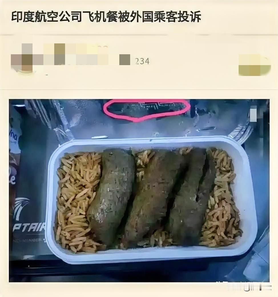 看饱了，印度航空餐被全世界绝大多数外国乘客投诉！印度航空公司：我们也很委屈！印