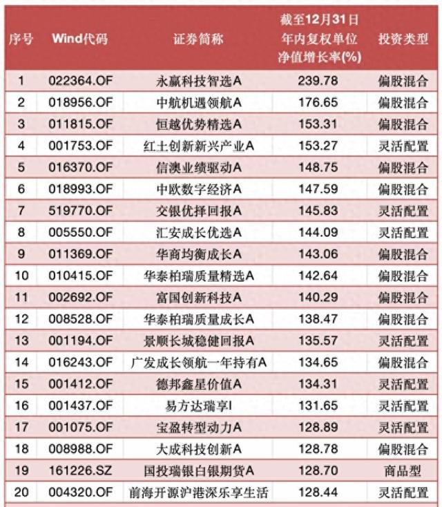 2025基金业绩TOP20揭晓: 名字带“科技”的基金, 今年赢麻了