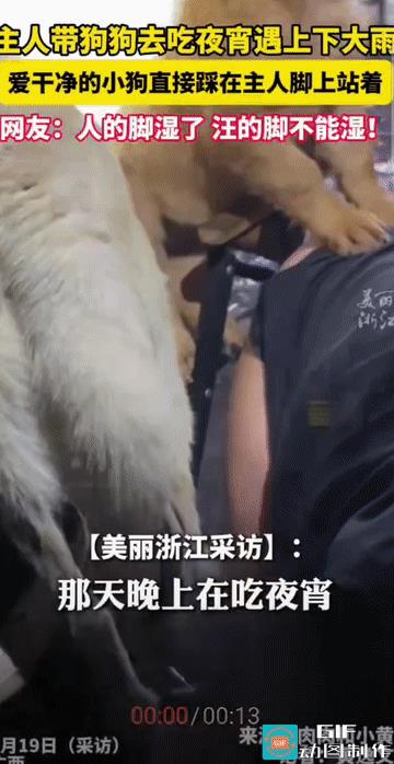 “这毛孩子也有洁癖呢!”广西，主人带狗狗去外面吃夜宵，中途竟突然下起了大雨，主人