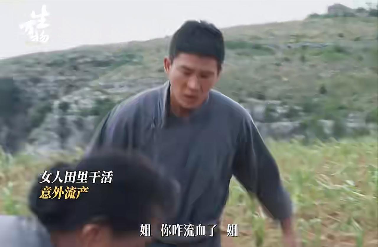生万物：绣绣意外流产了。怎么会这样啊？日子刚刚有了盼头，又来这一出。心疼死人