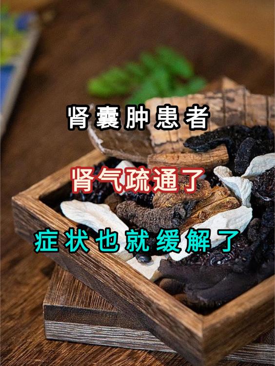 肾囊肿患者，肾气疏通了，肾精自然就固了，症状也就渐渐缓解了肾囊肿的困扰，常常