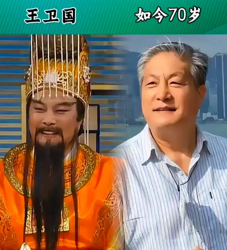 很喜欢的18位实力演员，看看有没有你认识的？王卫国，国家话剧院的一级演员，四