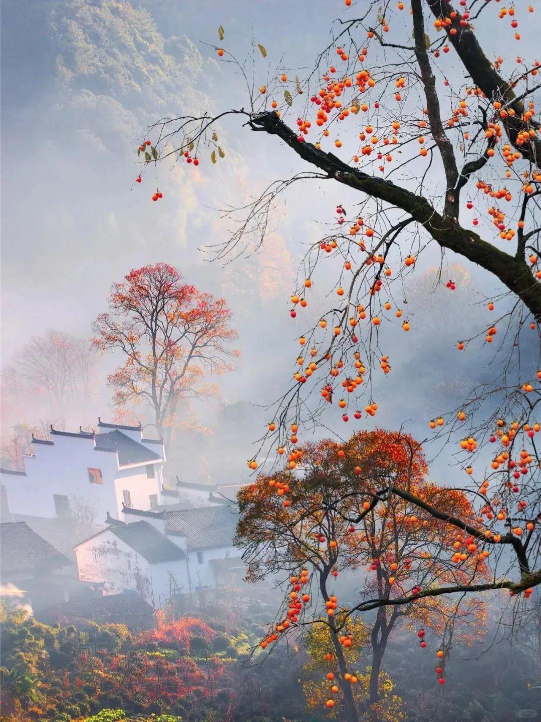 昨天，一位重点高中高二的学生和我聊起孩子是否要参加数学竞赛的话题。我给出的建议是