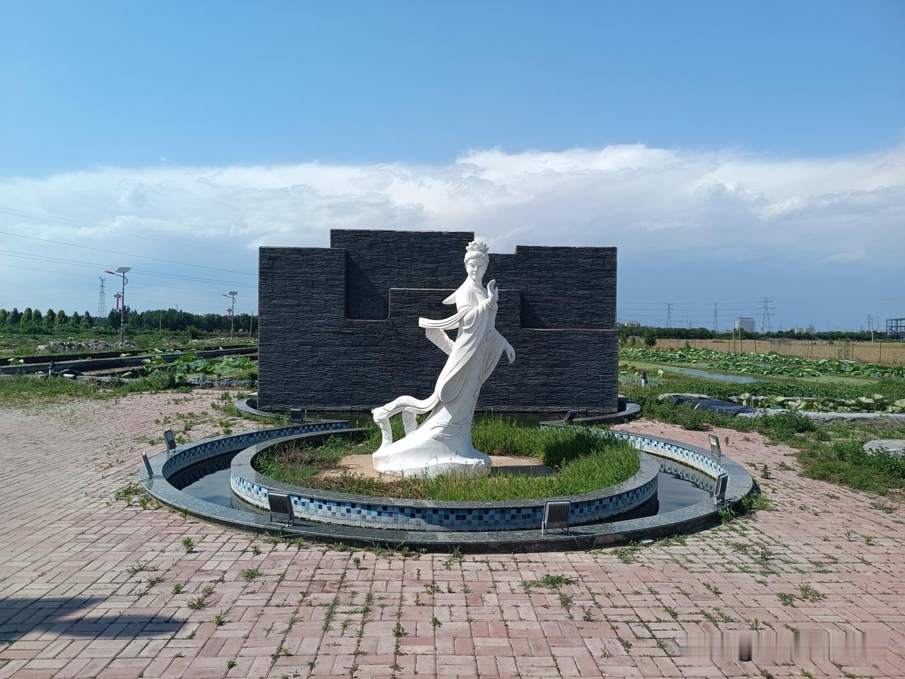 去过九家铺·瑶池御藕昨天刚看过，沙河城镇九家铺村200亩的瑶池御藕种植基地，