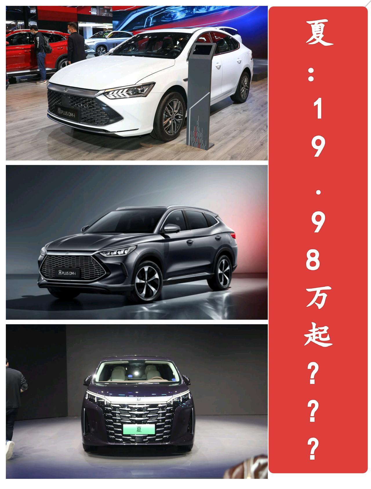 夏：19.98万起？？？