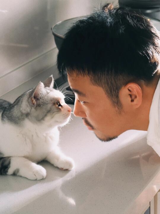 猫知道自己很可爱吗