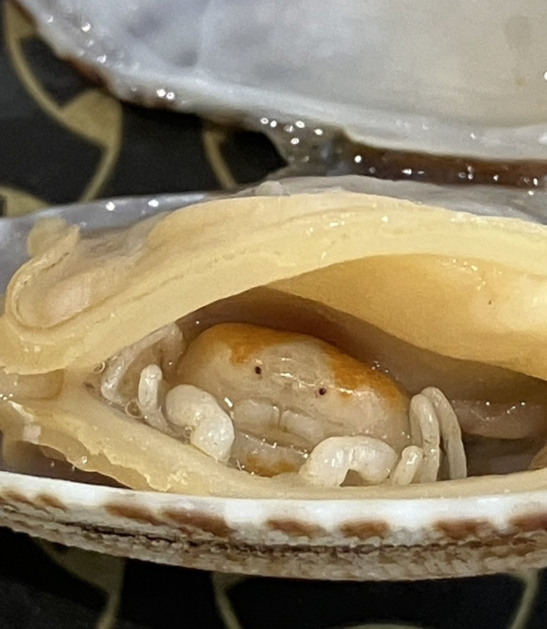 深藏不露啊​​​