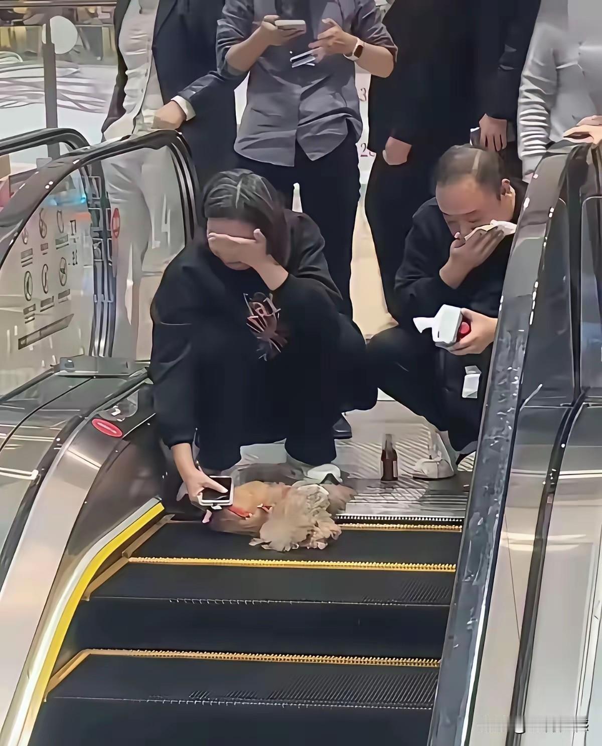 看到这老两口子落泪，我也跟着落泪了，都是养狗的人，看到小狗以这样的方式离开，心里