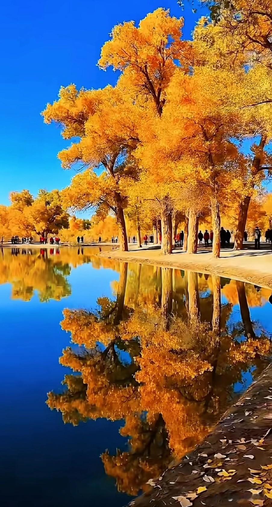 胃癌后的生活，想不到今天吃饭又中招了，撑到了，不舒服…中午的员工餐