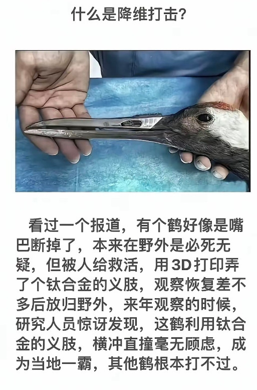 遇到了开挂的这怎么玩？
