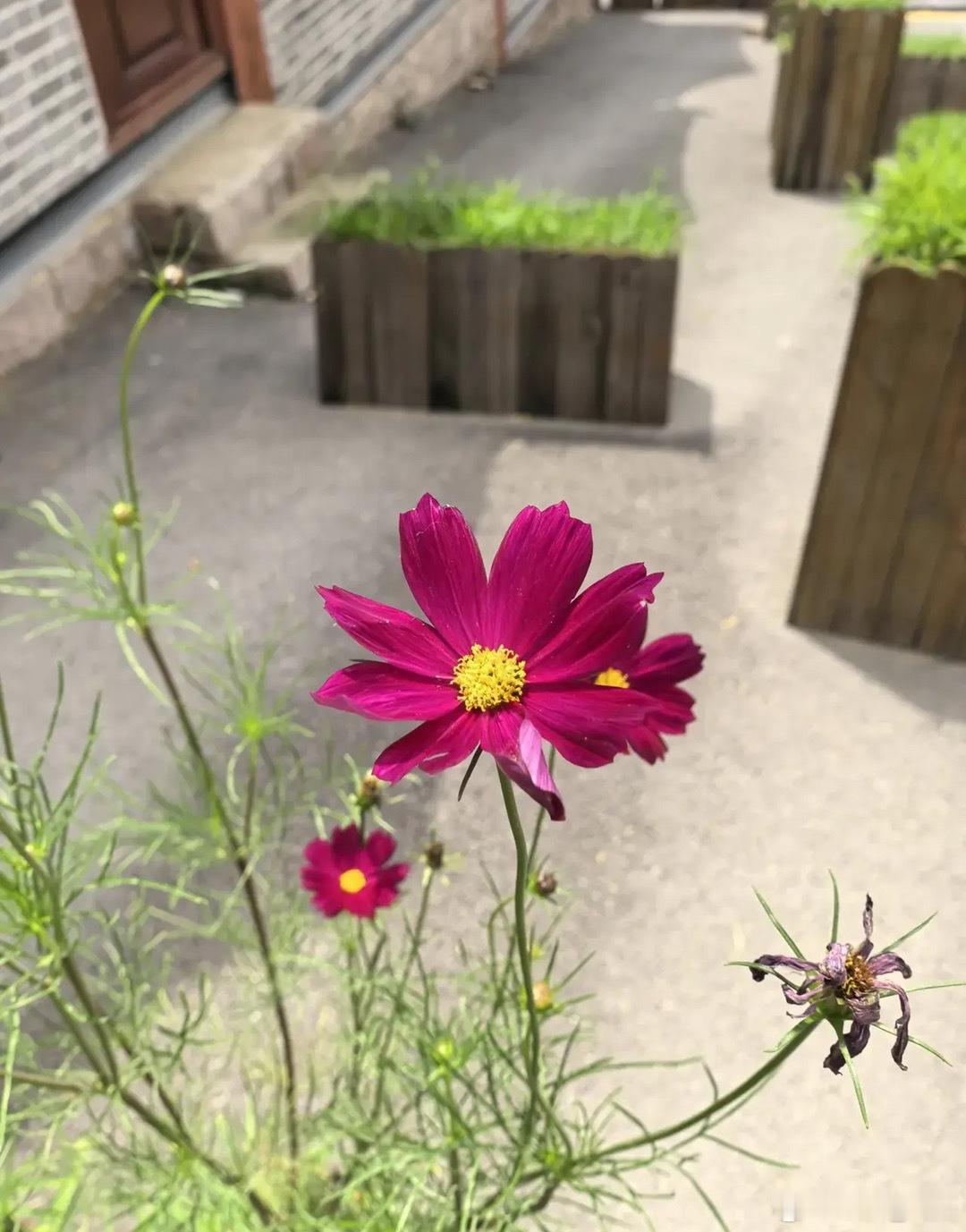 ✔题材方面——❏𝟭算力：4月9日至11日，2026第三届A1算力产业大会暨展览