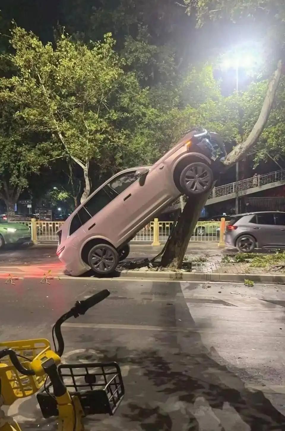 在网上看到一辆新能源汽车直接开到了树上去，我很好奇这个驾驶员是怎么完成高难度操作
