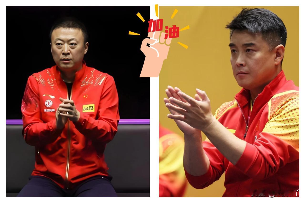 秦志戬退了肖战也没去抢那个位置男队归了王皓，女队给了马琳但这可不是个美差，