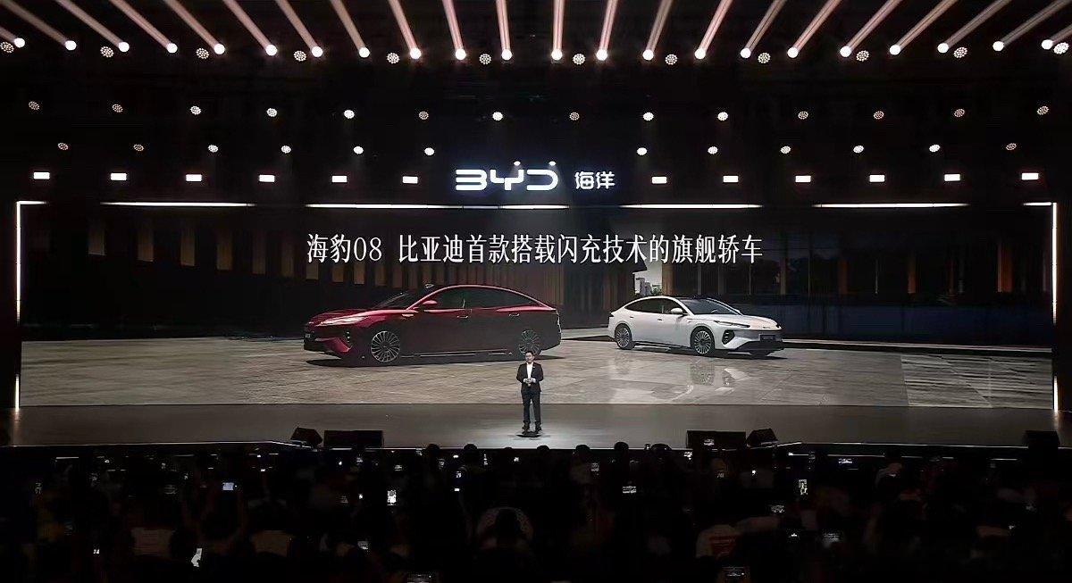 听说待会海豹08会有很多惊喜比亚迪海豹08