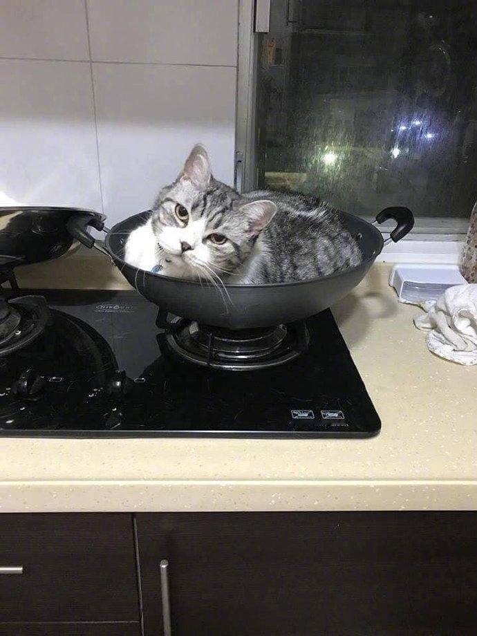 快要出锅了，就是菜名还没想好