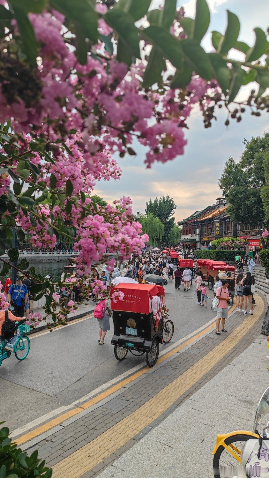 北京什刹海的夏天摄影​​​