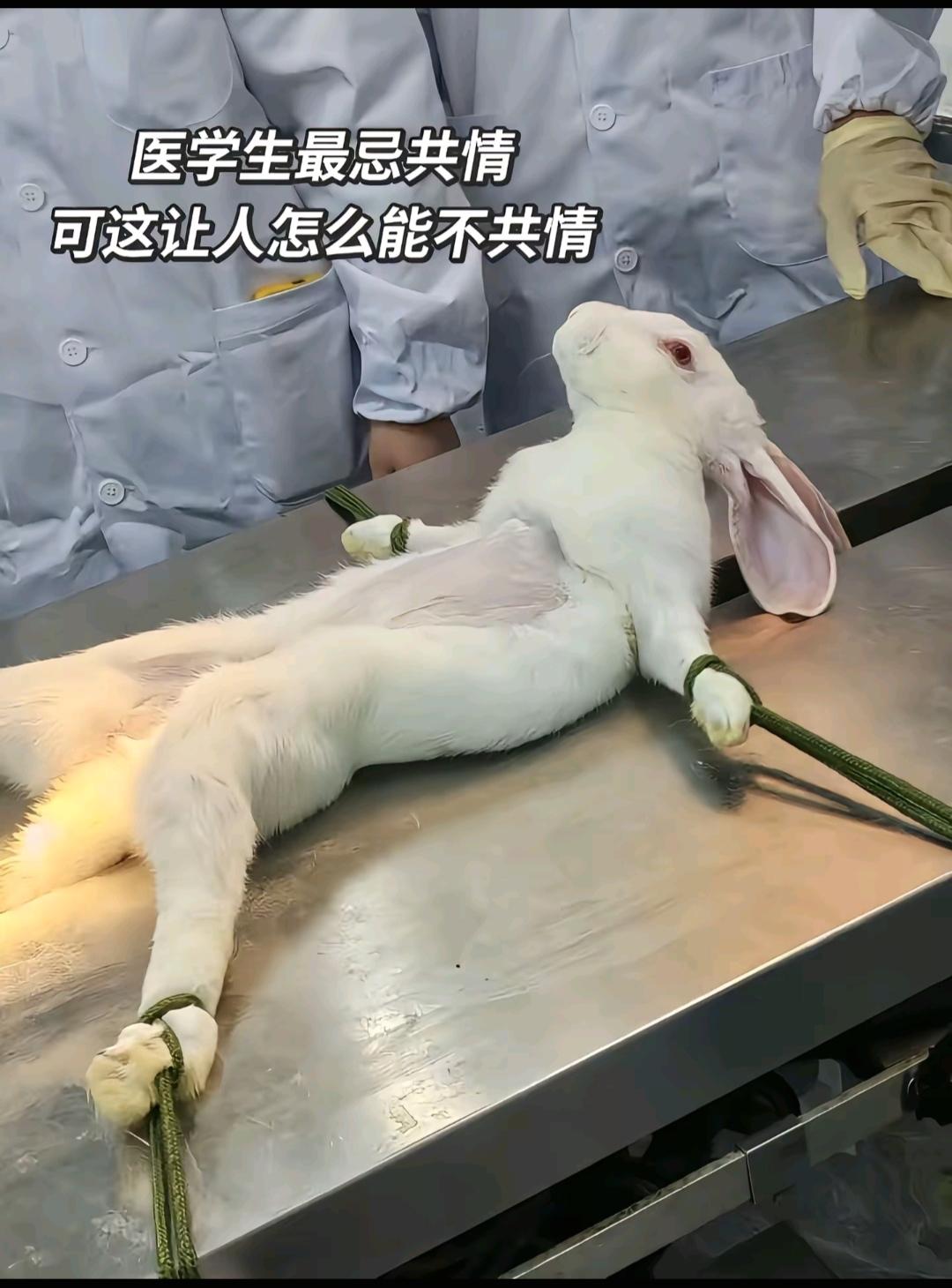 医生会得抑郁症吗？长时间的接触病患，医生该如何调节[呲牙笑]我跟我一个同学聊天，他