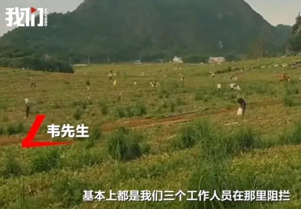 这下广西南宁的脸都被丢尽了！瓜农去村里承包土地种植西瓜，采摘过一批以后还留着