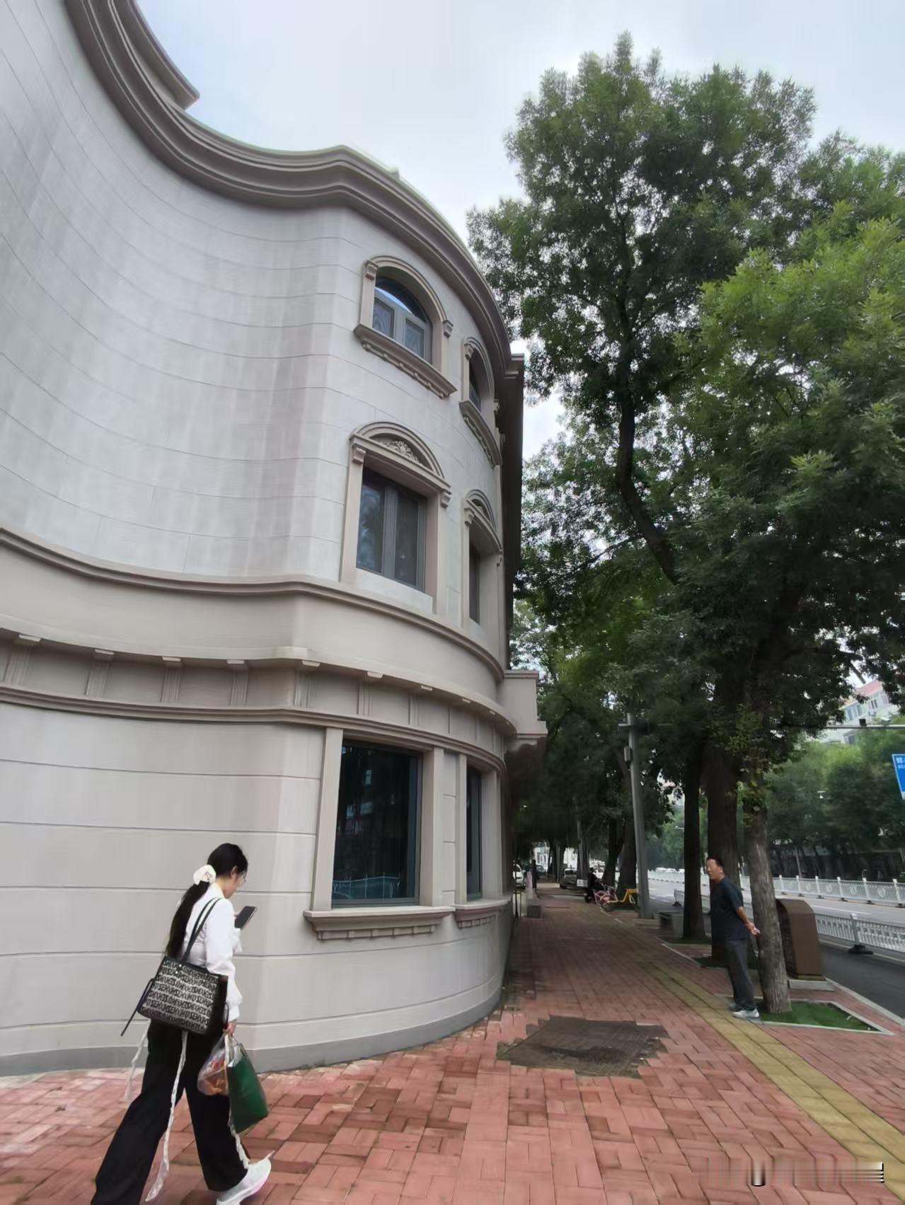 大沽南路上，图书大厦对过路口这幢楼，之前刚翻修过。也不知道这楼是干什么的，总也不