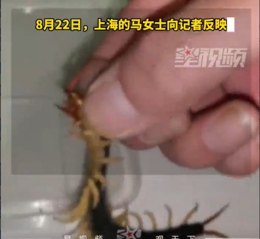 来自上海的马女士称，自己去苏州旅行度假，入住了五星级酒店。在酒店用餐的时候，居然