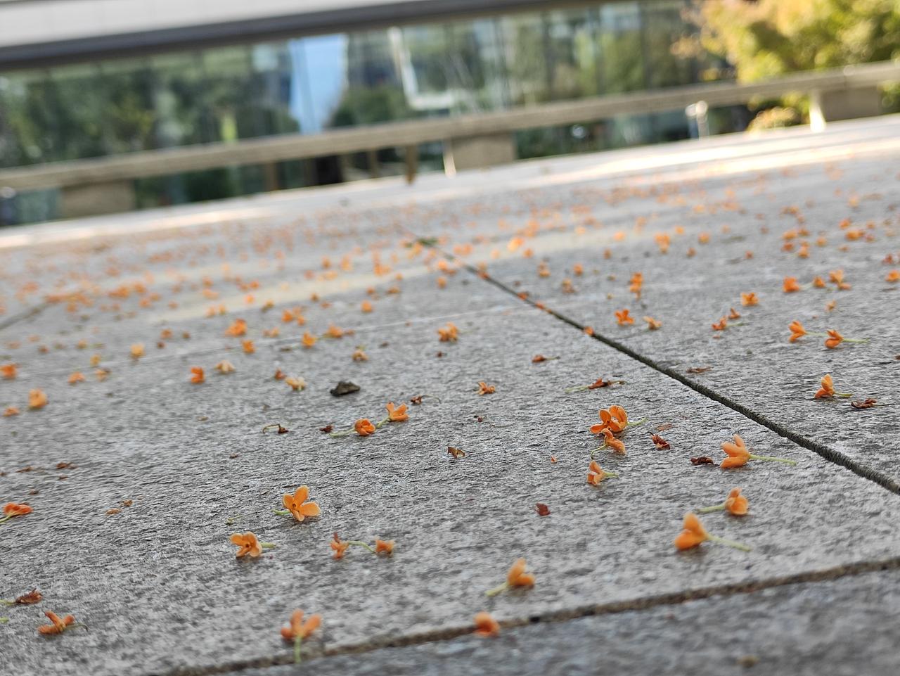 紫微斗数另一半是否旺夫？怎么看你的另一半是不是旺夫的？列出了三个条件：1