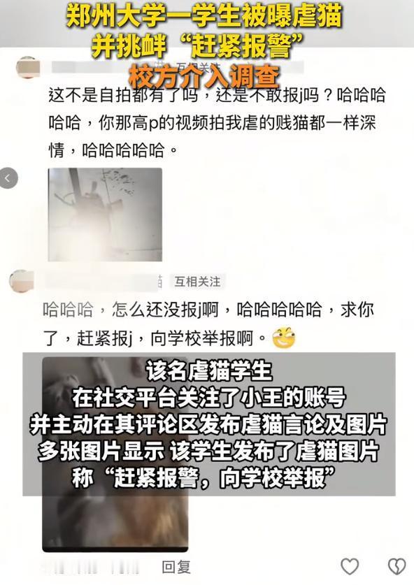 现在有的大学生真是可怕，自己虐猫，竟然还贩卖虐猫视频，并挑衅警方。这是觉得虐猫不