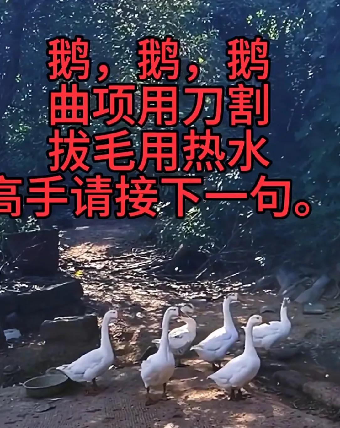 请高手接下一句？[作揖]