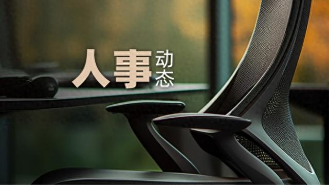 广东多地发布人事任免