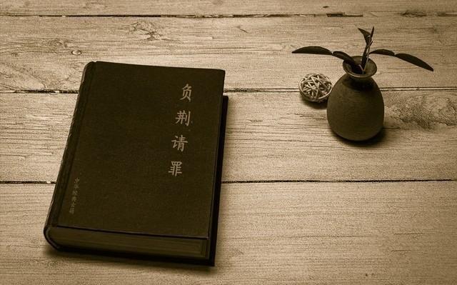 专家称日本想打的不是一般小仗！不要低估日本军事实力，日本敢大胆公开叫嚣，一方面有