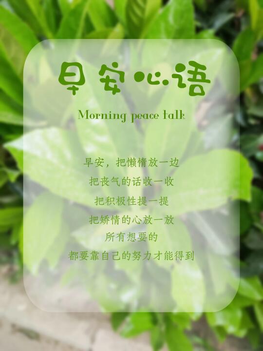 早安心语｜早安文案｜海报设计｜早安日签