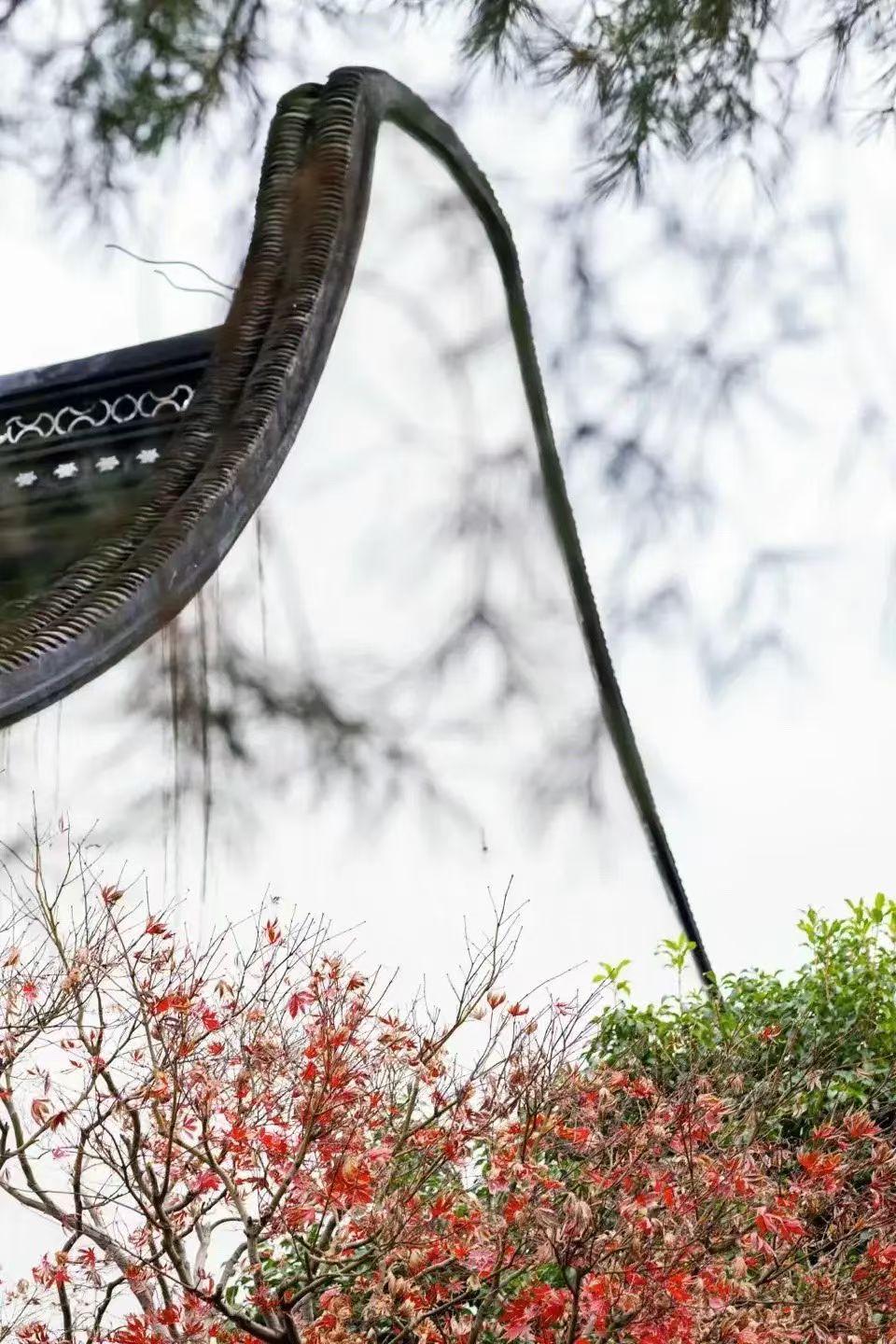 春風暖意展新境，旭日載夢迎黎明，歲月靜好人如意，當下健康皆吉祥。早上好！