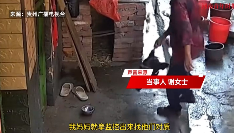 “太缺德了！”9月14日，江西，一八旬老人趁着邻居不在家，把自家死掉的母鸡偷偷扔