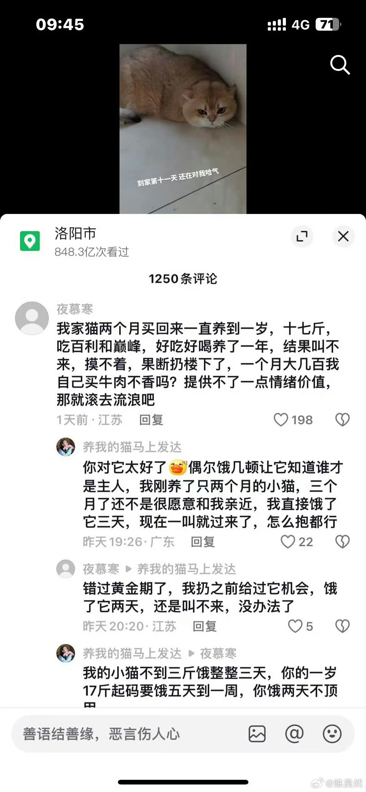 流浪猫狗就是这么来的......