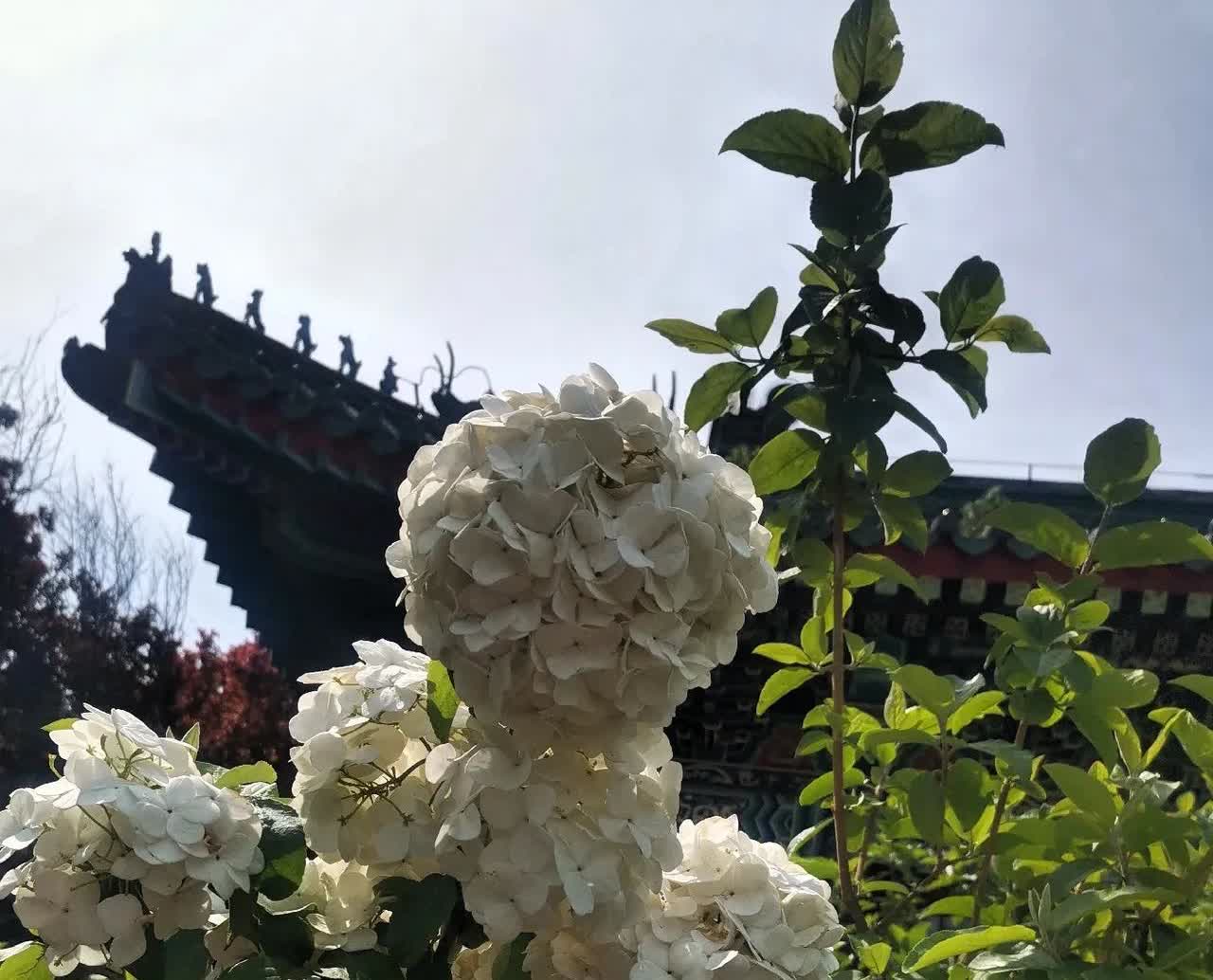 昨天接到一个陌生女子电话，深圳的号码，接通以后她先让我猜她是谁，我是真的猜不出来