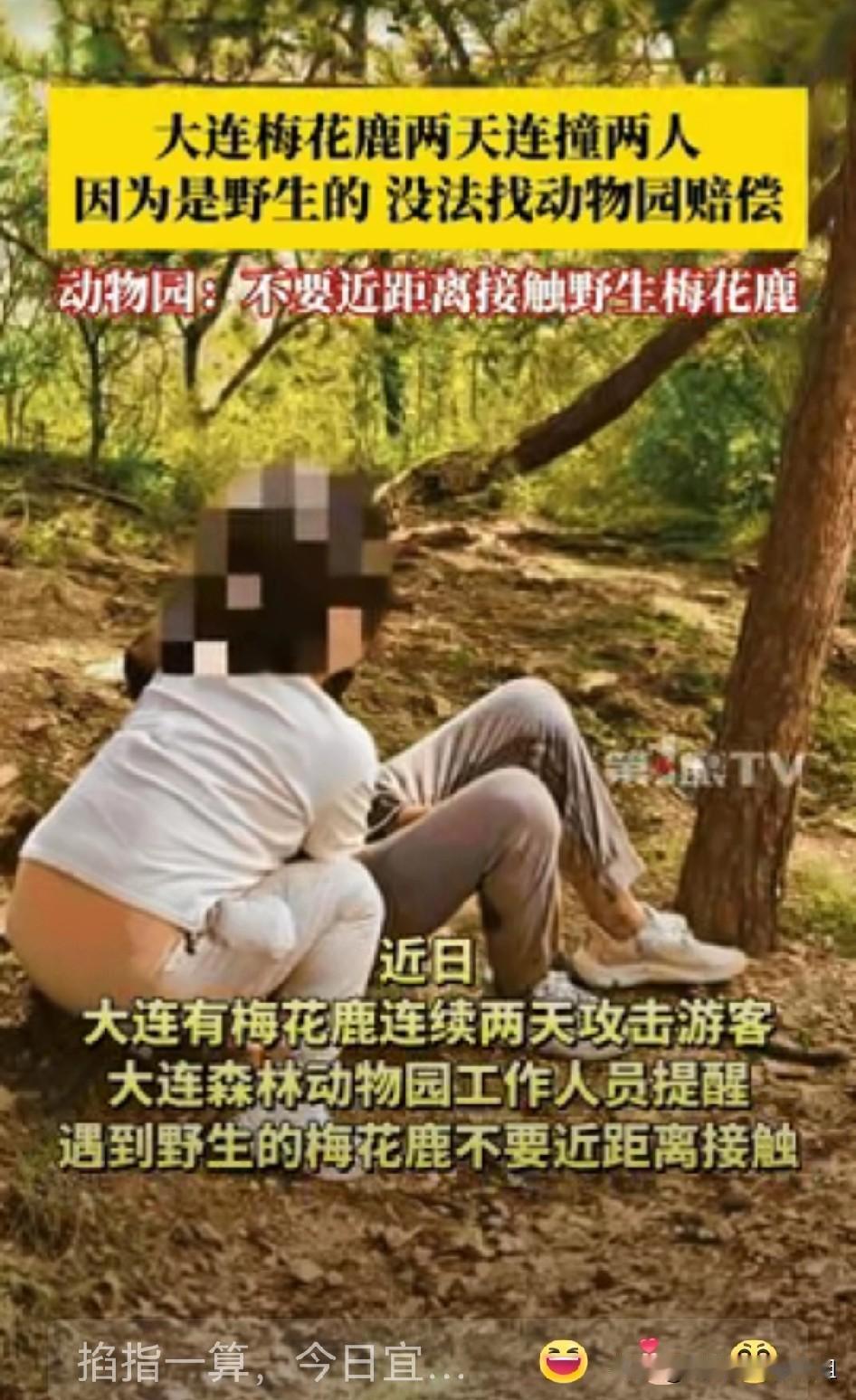 “冤不冤？”辽宁大连，一女子来到动物园游玩，可就在经过野生梅花鹿时，鹿没有缘由地