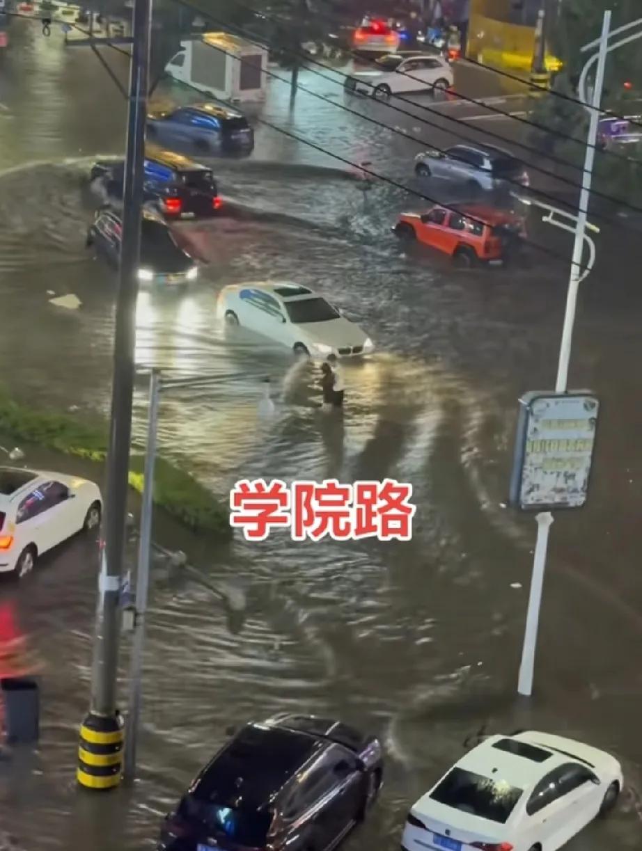 哈尔滨昨夜下了一场大暴雨，把我吓坏了，一个人在家就是胆子小，又是闪电又是打雷的，