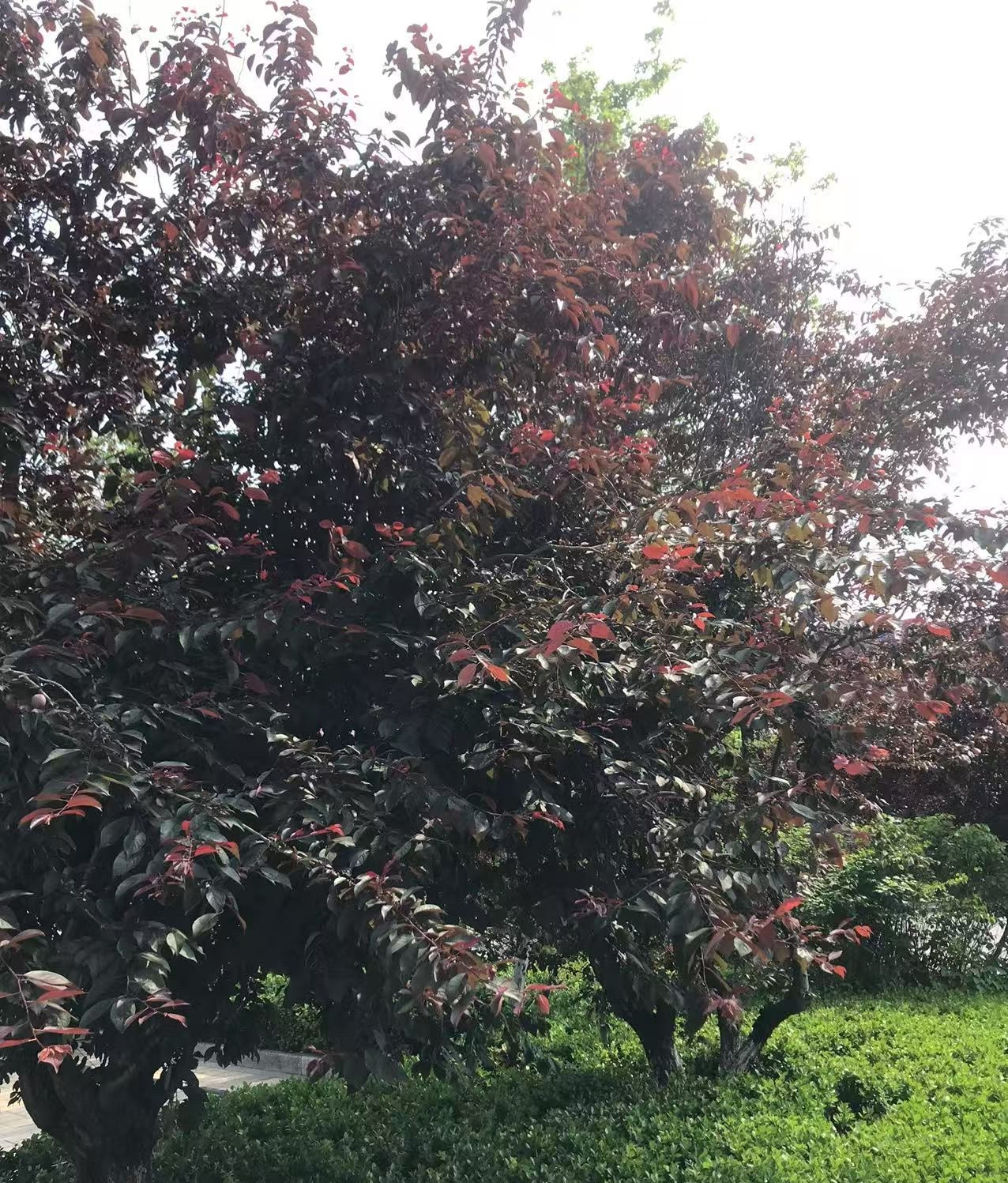 房子白菜价，真的会来吗？听同事说他儿子隔壁的小区，现在房价已经打五折了，他儿子