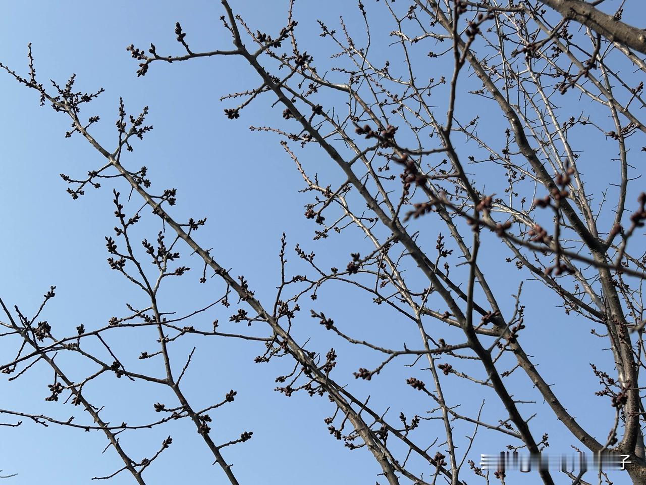 一家人相处要心宽量大，少计较得失，多体谅包容。妯娌之间和气相待，遇事不钻牛角尖，