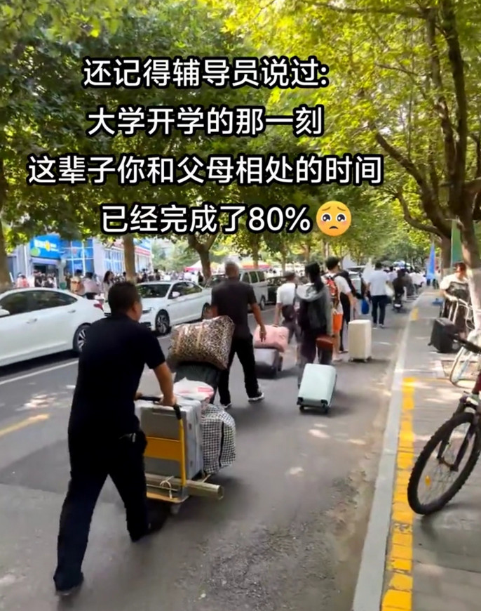 大学相当于进入半个社会了 。