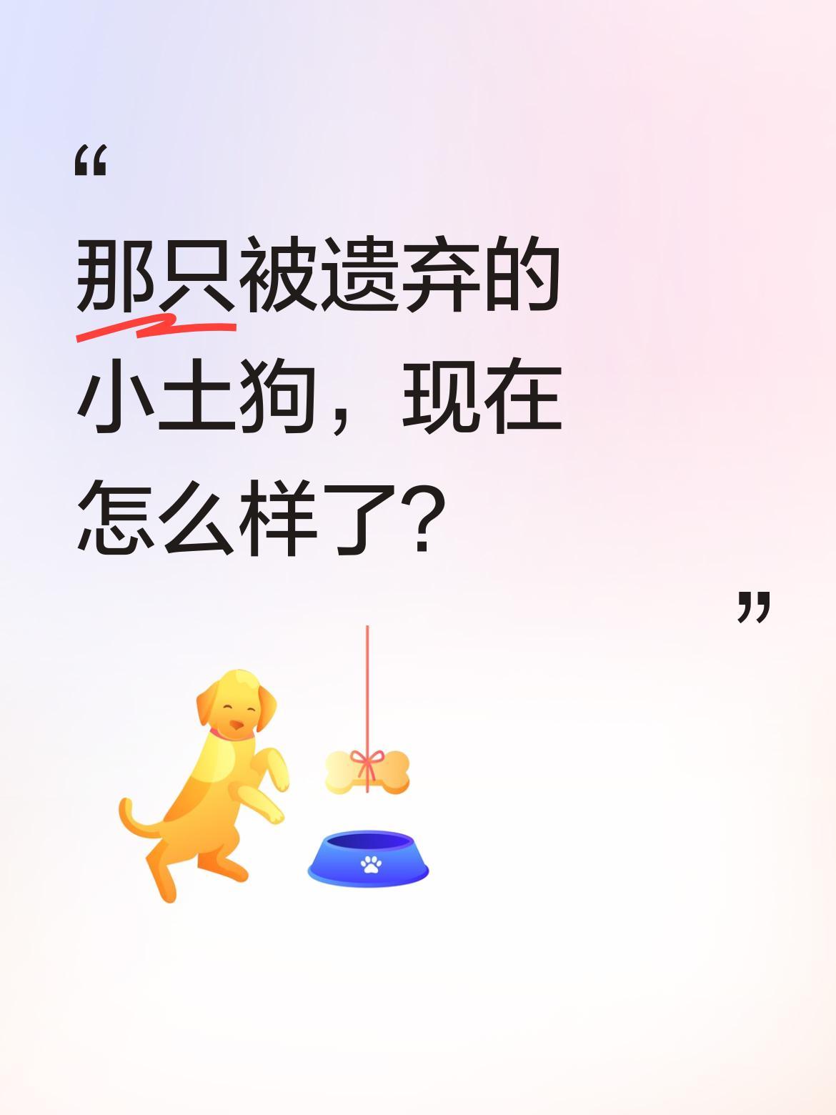 那只被遗弃的小土狗，现在怎么样了？八楼住户搬走时留下了它，从此这只狗狗就在楼道