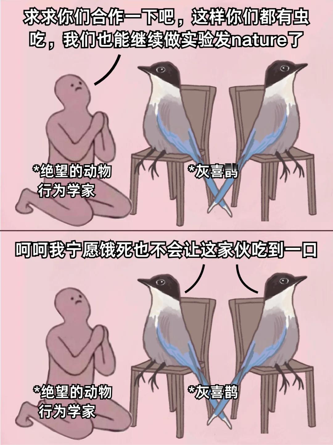 求求你们合作一下吧，这样你们都有虫吃，我们也能继续做实验发nature了~中国科