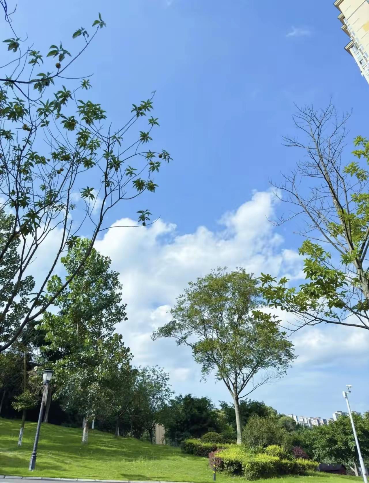 我发现怕死的老人，身上都有这7个普遍现象：第一，没吃过伺候老人的苦年轻时没