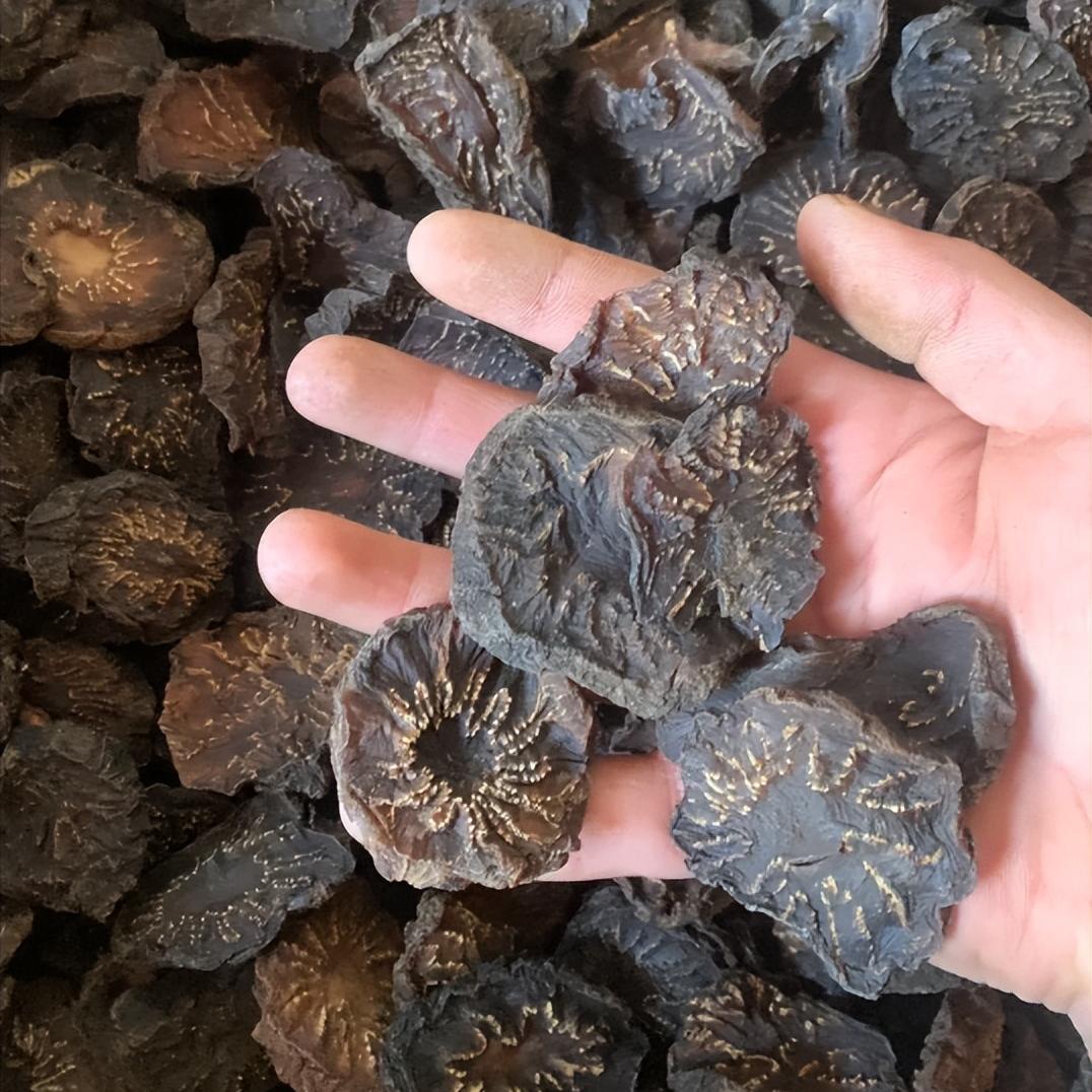 一张对付阳痿早泄的好方子，一定要收藏！今天给大家分享中医调理阳痿早泄的经典思路